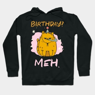 Birthday Meh Cat Hoodie